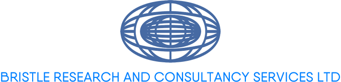 Bristle Research & Consultancy Services Ltd
