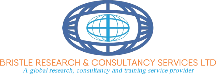 Bristle Research & Consultancy Services Ltd